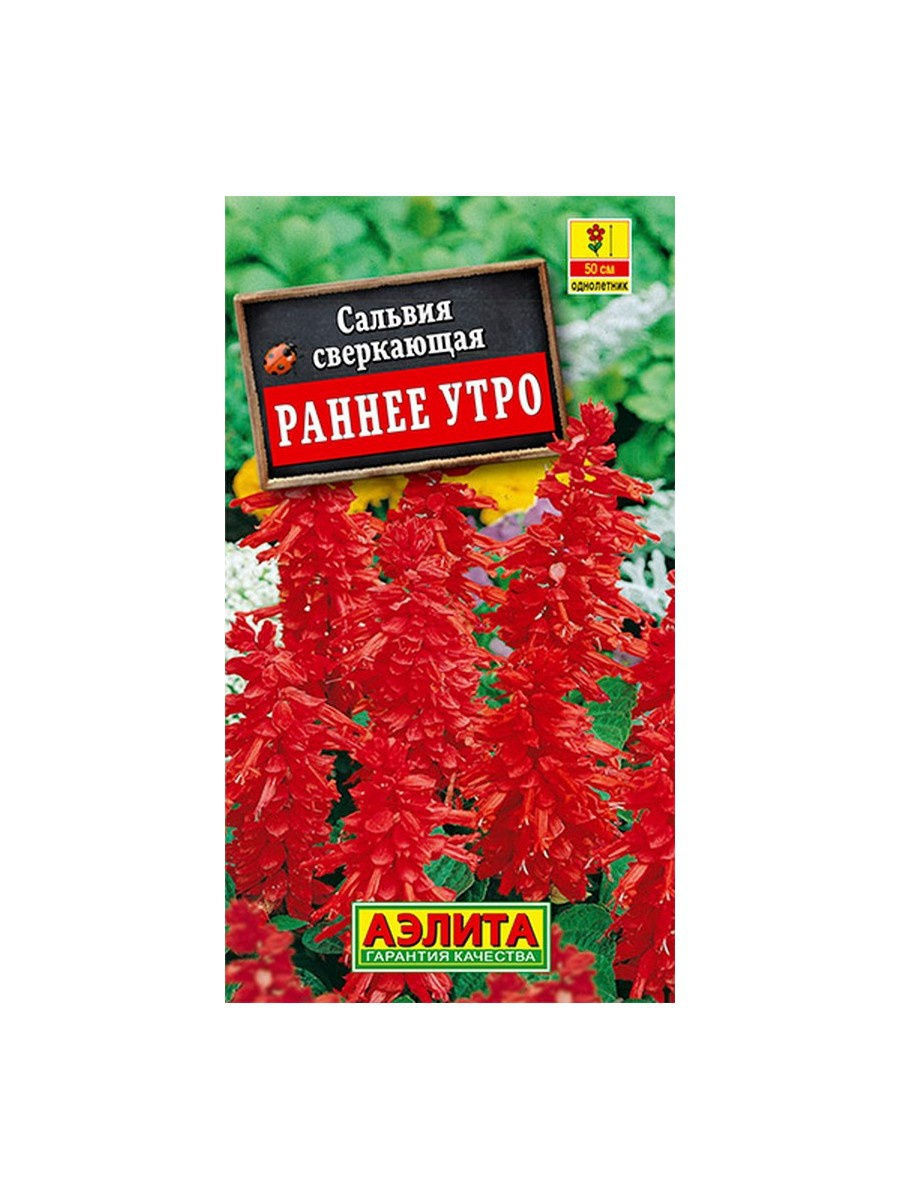

Семена. Сальвия "Раннее утро", однолетник (вес: 0,1 г)