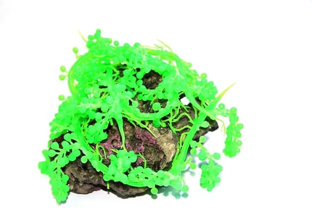 Vitality Коралл-композиция мягкая Каулерпа зелёная пластиковая 22*18*10 см