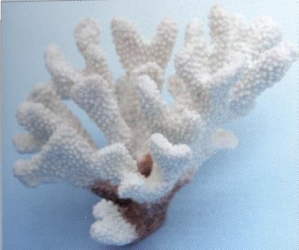 Искусственный коралл Vitality Олений рог, белый (SH9200W)