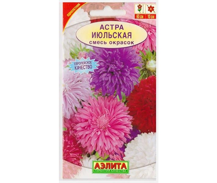 

Семена. Астра "Июльская", смесь окрасок (вес: 0.2 г)