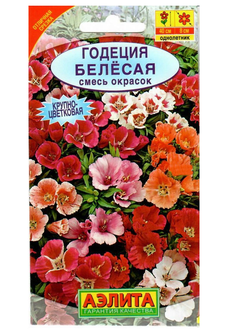 

Семена. Годеция "Белесая", смесь окрасок, однолетник (вес: 0,3 г)