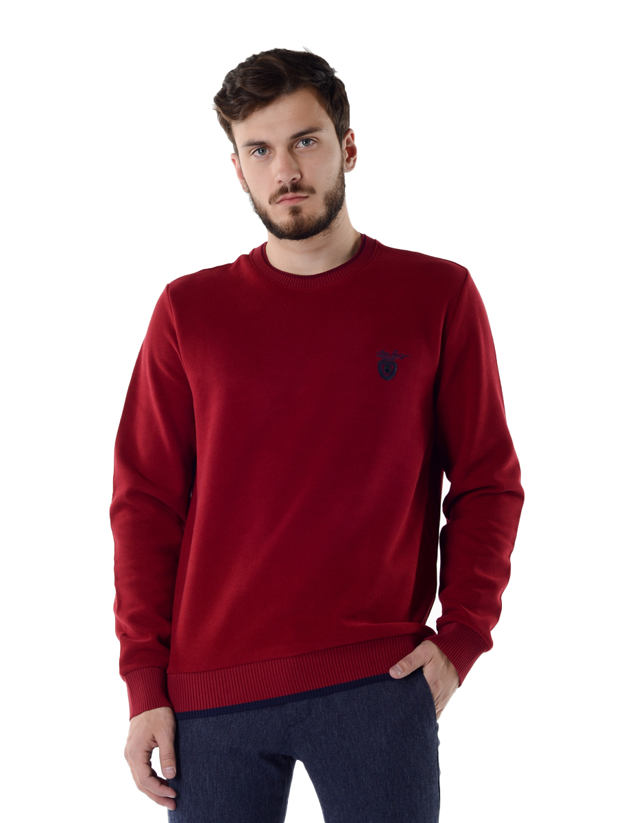 

Джемпер мужской SQ59162 A passion play бордовый L, SQ59162