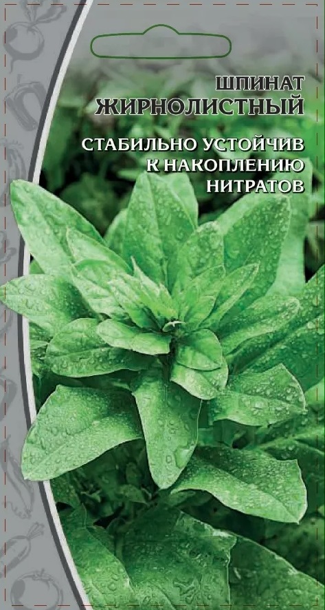 

Семена "Шпинат. Жирнолистный", 1 грамм