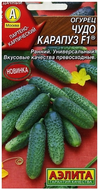 

Семена огурец Аэлита Чудо карапуз F1 1 уп.