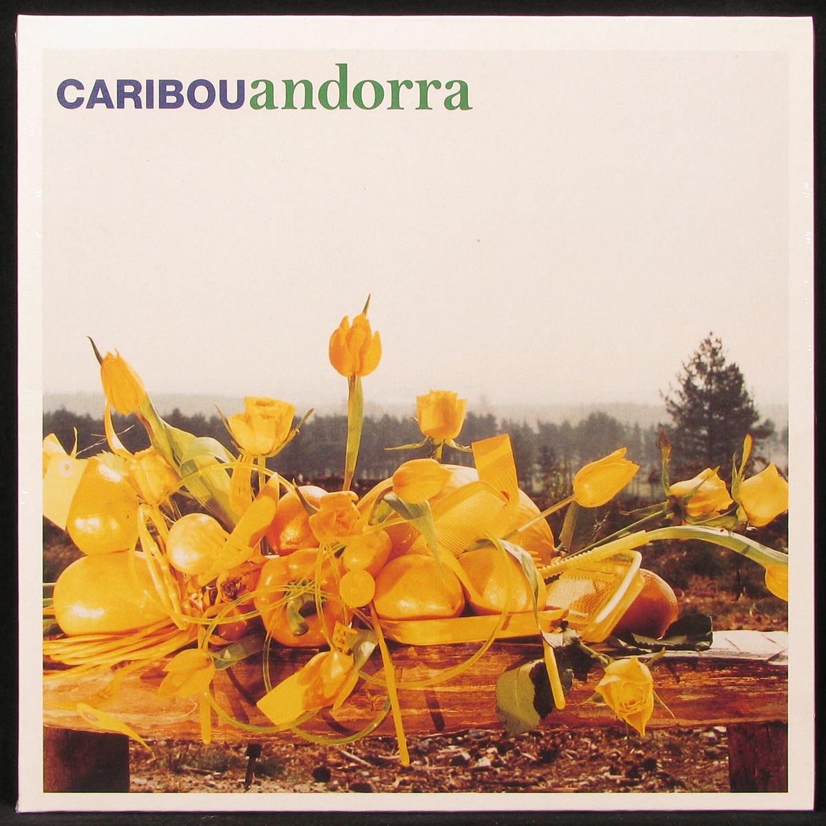 

Caribou - Andorra (LP)