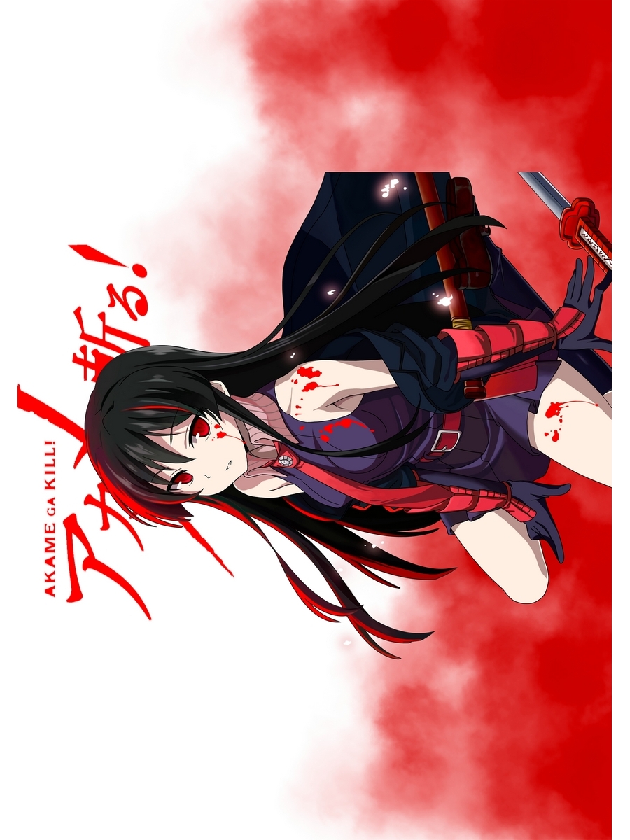 

Постер DRABS А2 Akame ga Kill