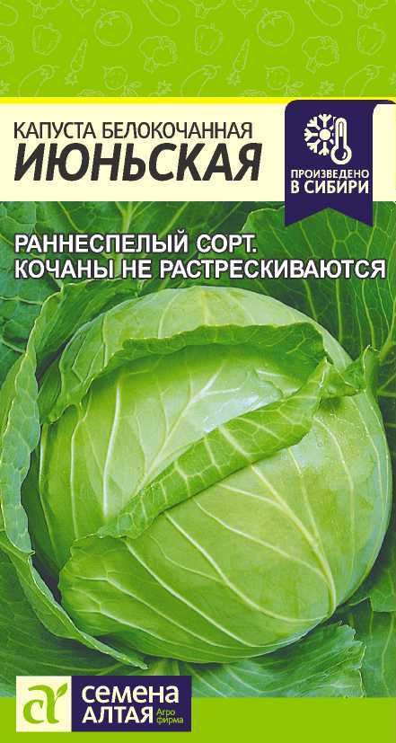 

Семена капуста белокочанная Семена Алтая Июньская 1 уп.