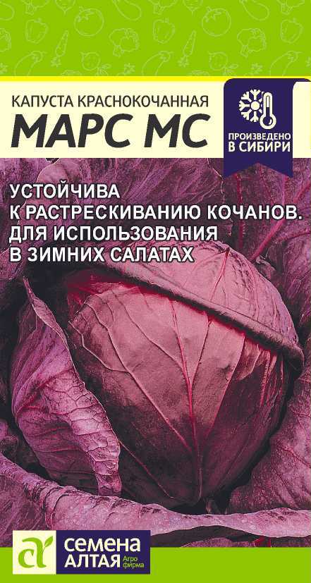 

Семена капуста краснокочанная Семена Алтая Марс мс 1 уп.