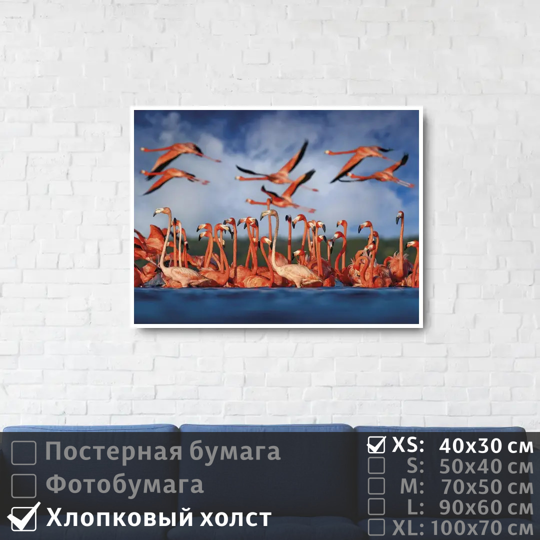 

Постер на холсте ПолиЦентр Стая розовых фламинго у берега 40х30 см, СтаяРозовыхФламингоУБерега
