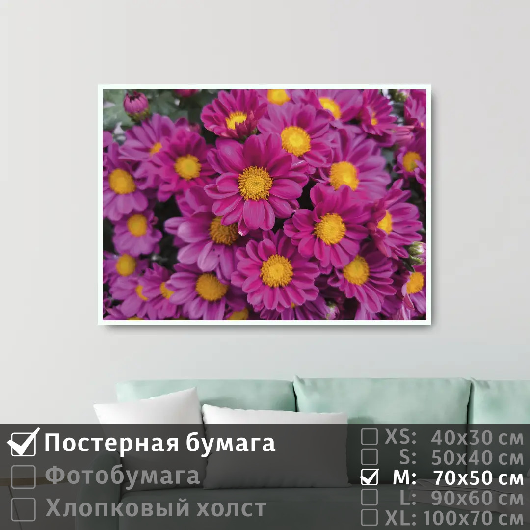 

Постер на стену ПолиЦентр Розовые цветы 70х50 см, РозовыеЦветы