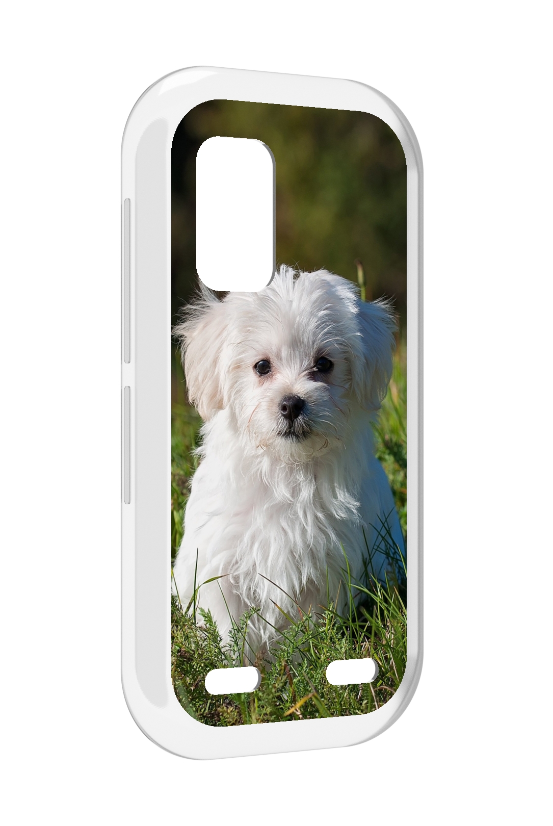 

Чехол MyPads мальтииская-болонка для UleFone Armor X10 / X10 Pro, Прозрачный, Tocco