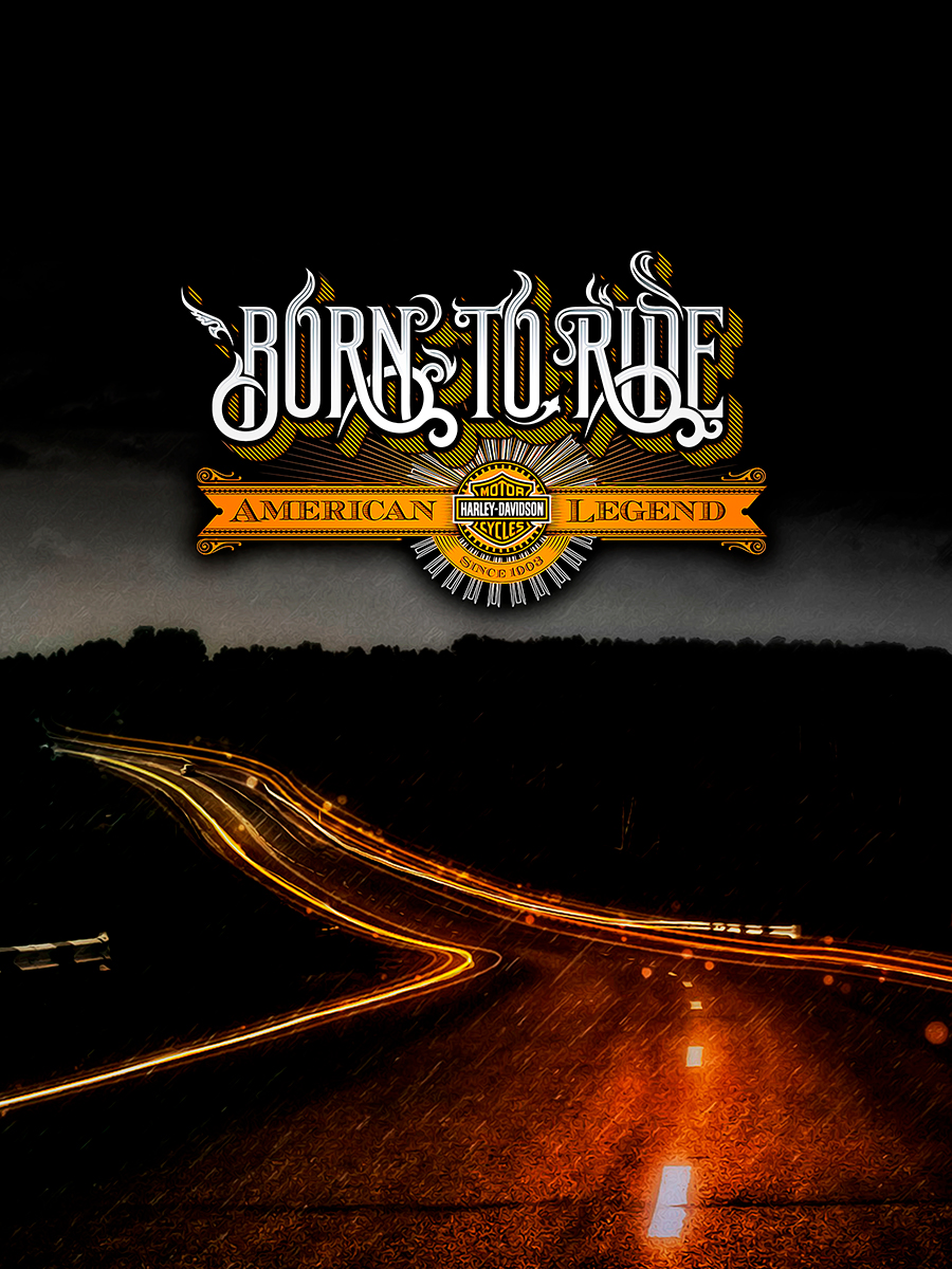 

Постер DRABS А2 Born to ride