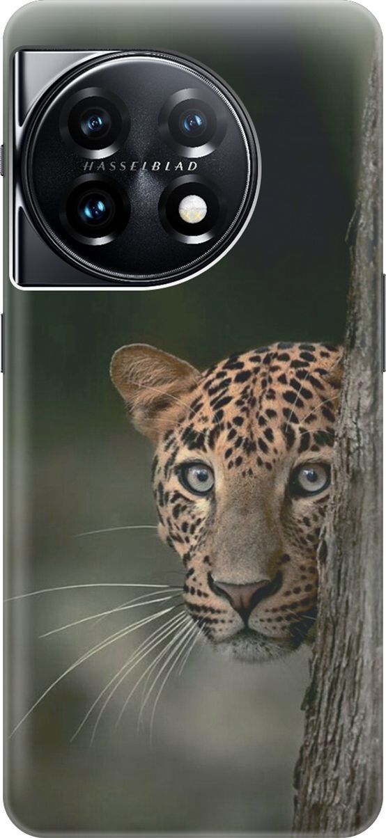 

Силиконовый чехол на OnePlus 11 с принтом "Подглядывающий леопард", Зеленый;коричневый, 159475