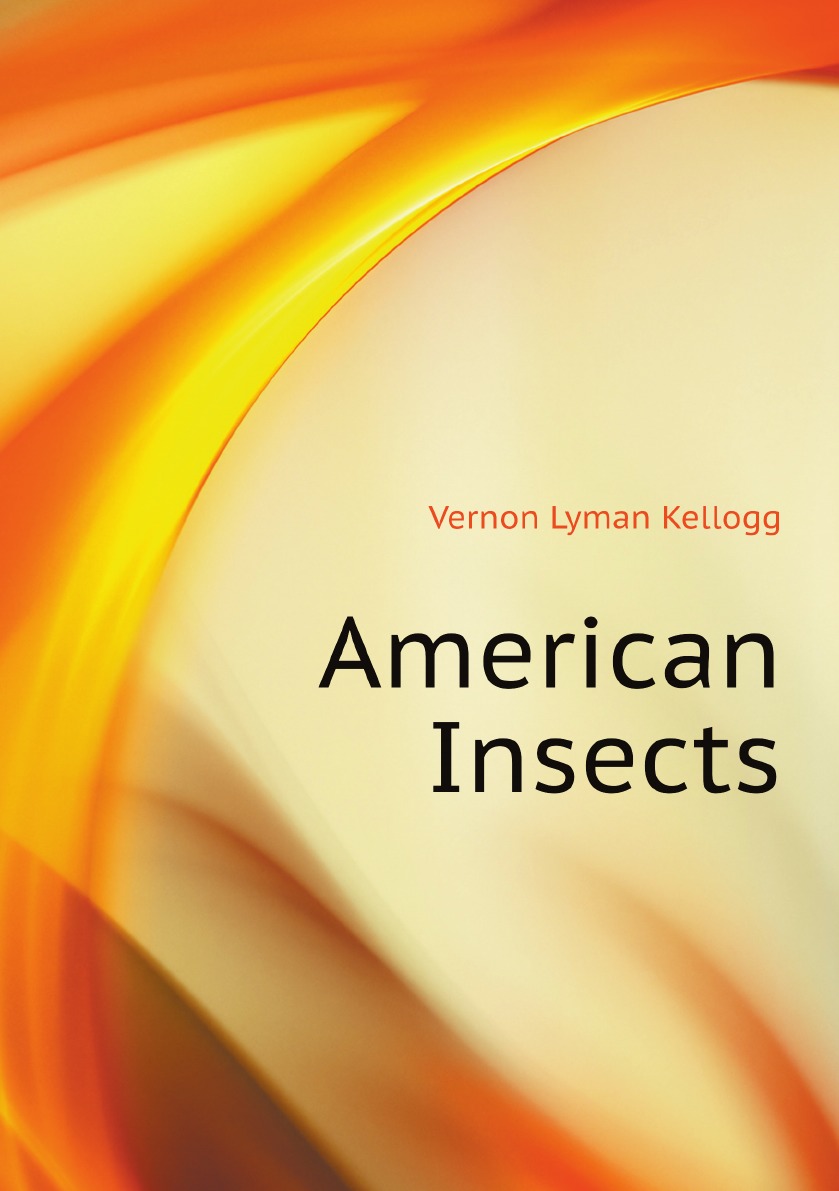 

American Insects