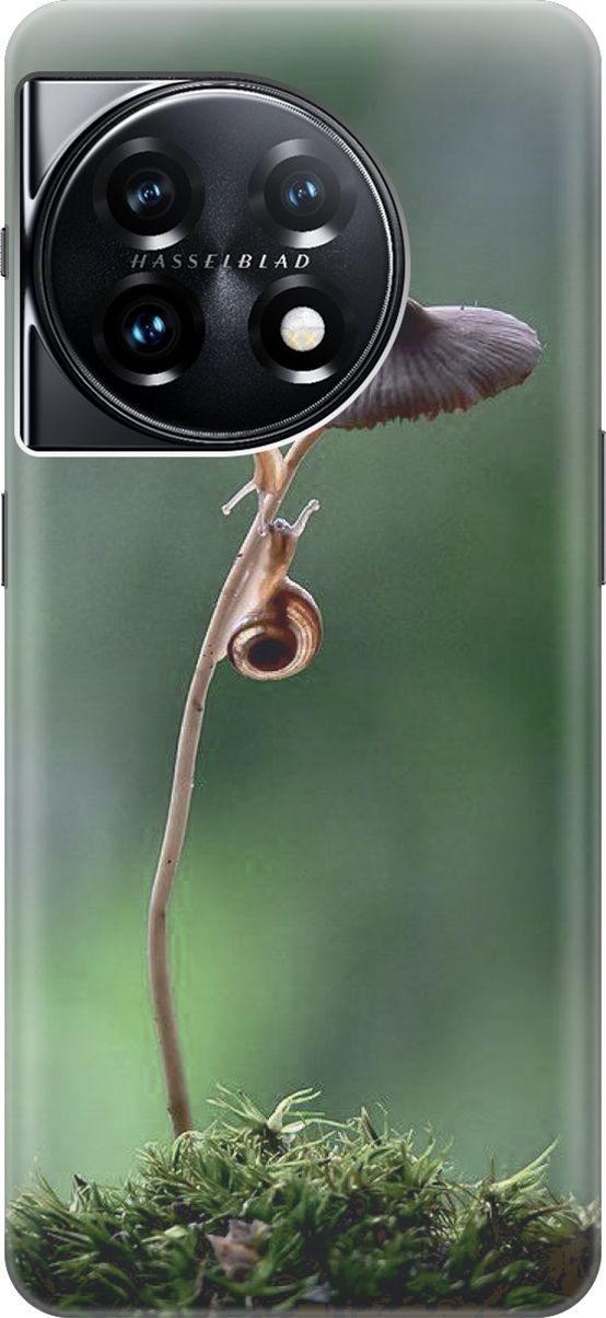 

Силиконовый чехол на OnePlus 11 с принтом "Две улитки", Зеленый;коричневый, 159475