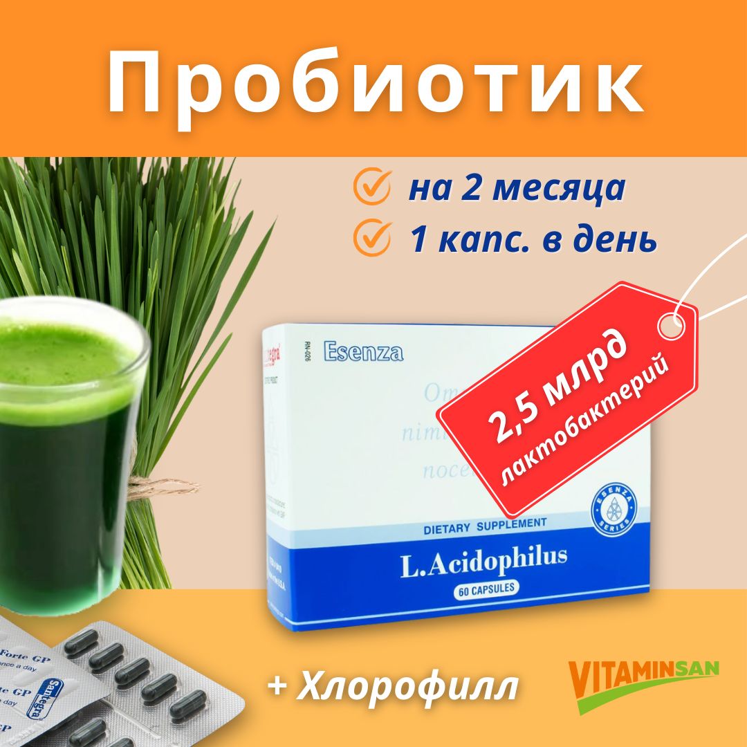 

Лактобактерии Ацидофилус Santegra L.Acidophilus, 60 капсул