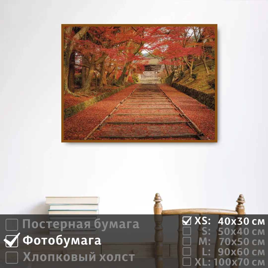 

Постер на фотобумаге ПолиЦентр Осенняя листва красного цвета 40х30 см, ОсенняяЛистваКрасногоЦвета