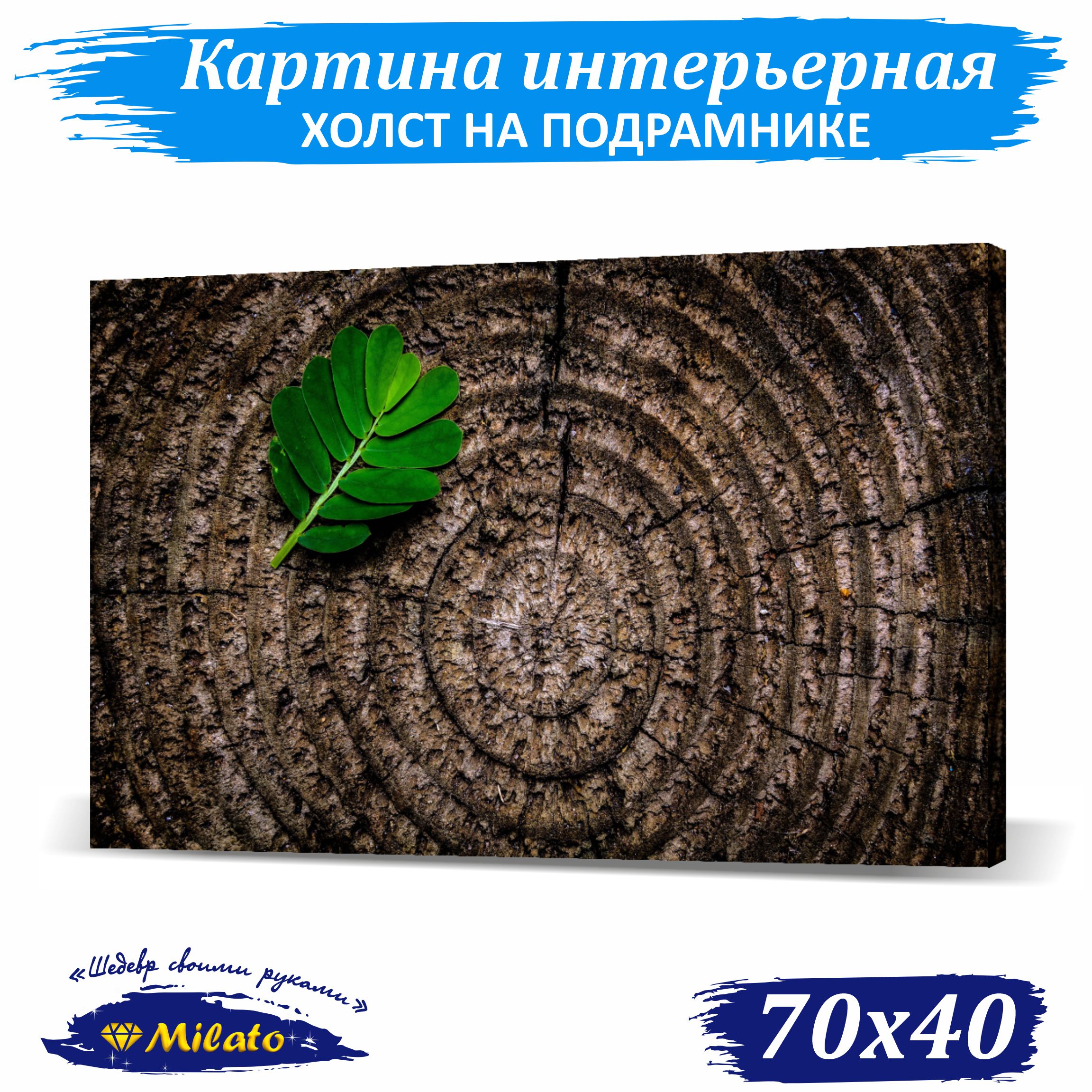

Картина интерьерная на холсте Milato Cлэб IP74-4 70x40см, Cлэб