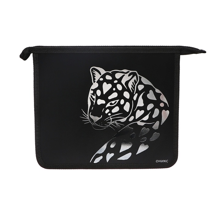 

Папка Оникс, Лео 72037, для тетрадей А5, 240 х 205 х 40 мм, пластиковая, Разноцветный