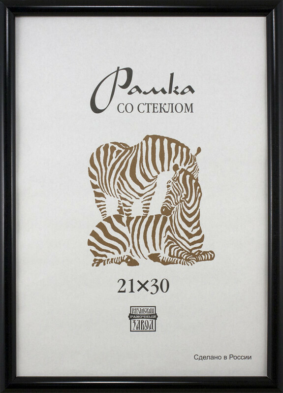 

Рамка пластиковая Зебра А4, 508 (черный)