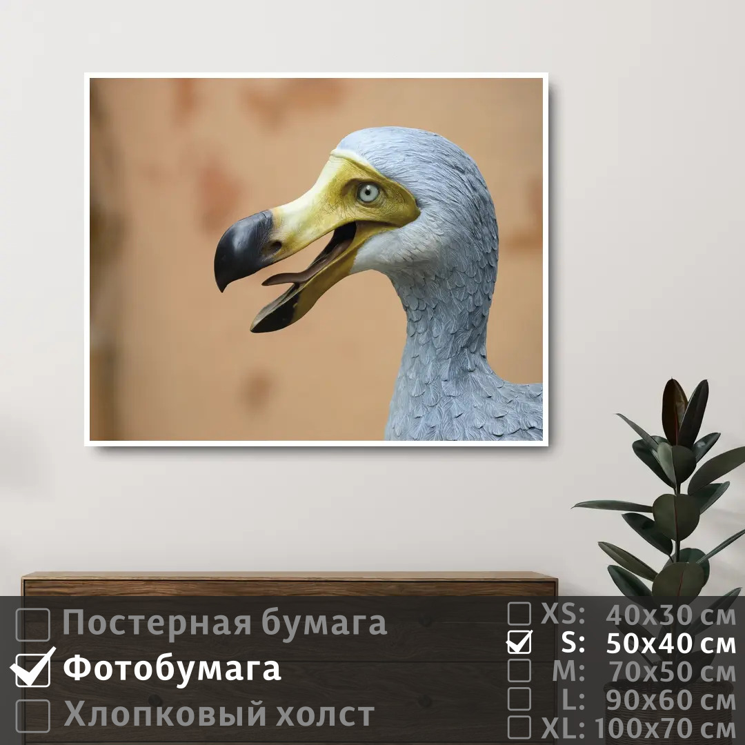 

Постер на фотобумаге ПолиЦентр Мифическая птица до до 50х40 см, МифическаяПтицаДоДо