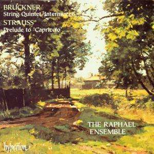 

Bruckner / Strauss R: Quintet & Capriccio, 1 CD