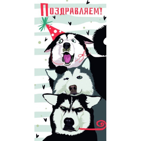 

Конверт 978537820681000251 Поздравляем (хаски)