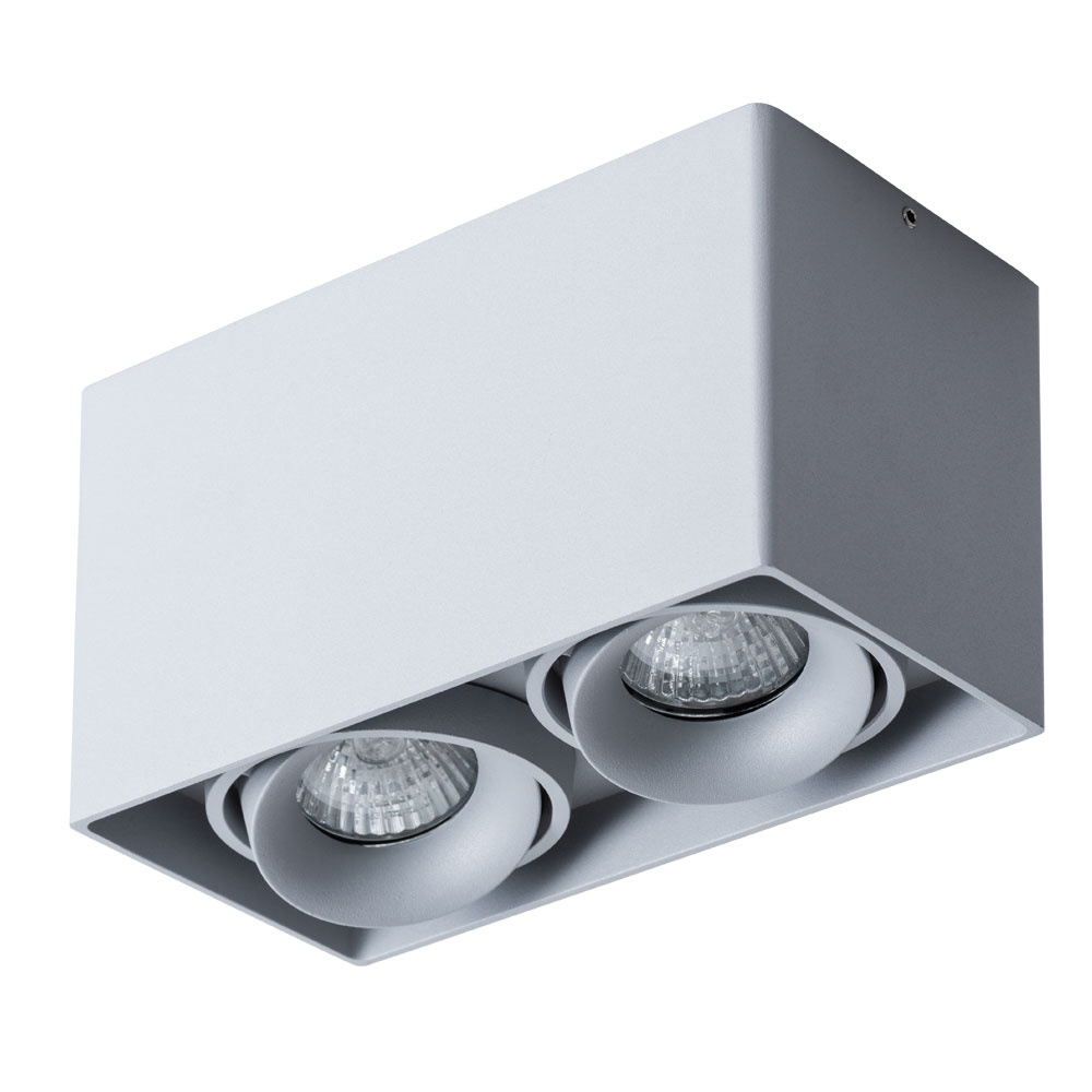 

Arte Lamp Потолочный светильник Arte Lamp Pictor A5654PL-2GY