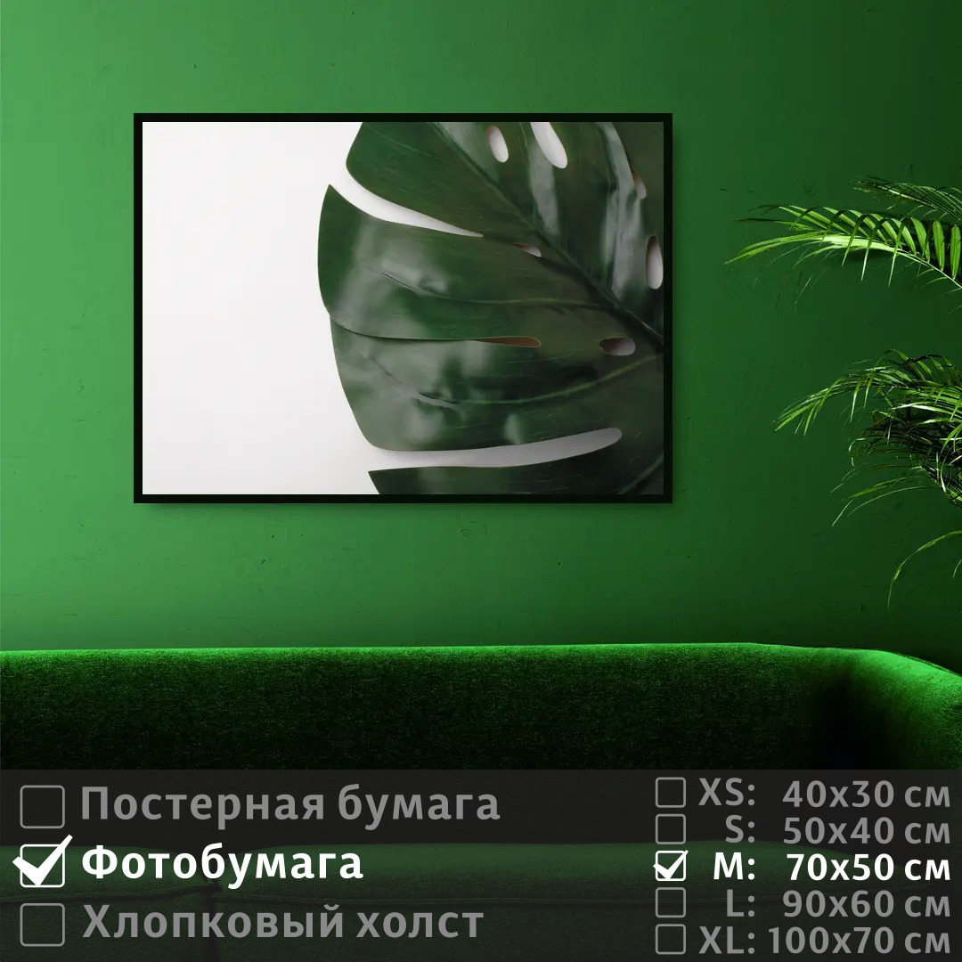

Постер на фотобумаге ПолиЦентр Лист монстеры 70х50 см, ЛистМонстеры