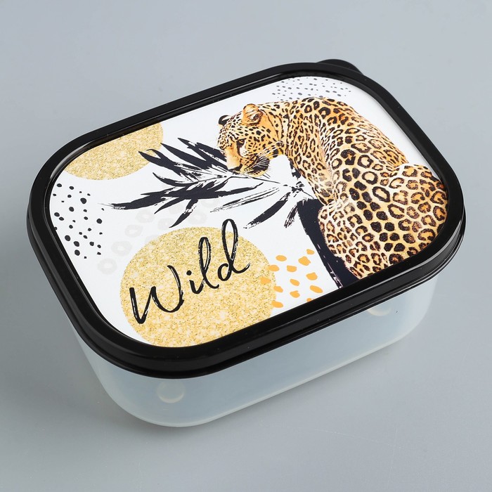 

Дорого внимание Ланч-бокс Wild, 500 мл, Черный