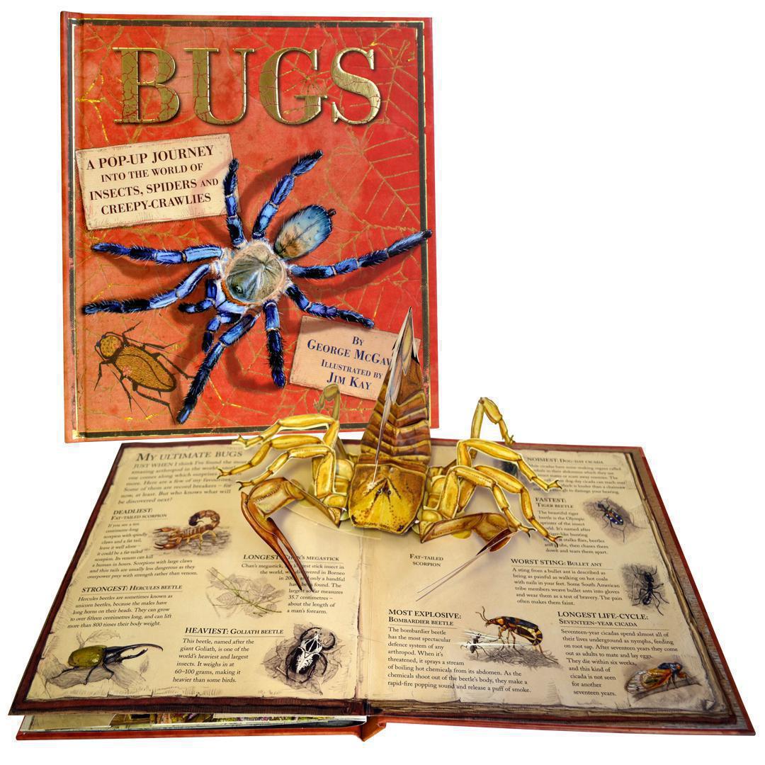 

Жуки, насекомые, пауки. Энциклопедия. Книга-панорама - Bugs. Journey. Pop-Up book