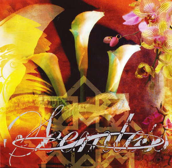 SEEMLESS - What We Have Become (1 CD)