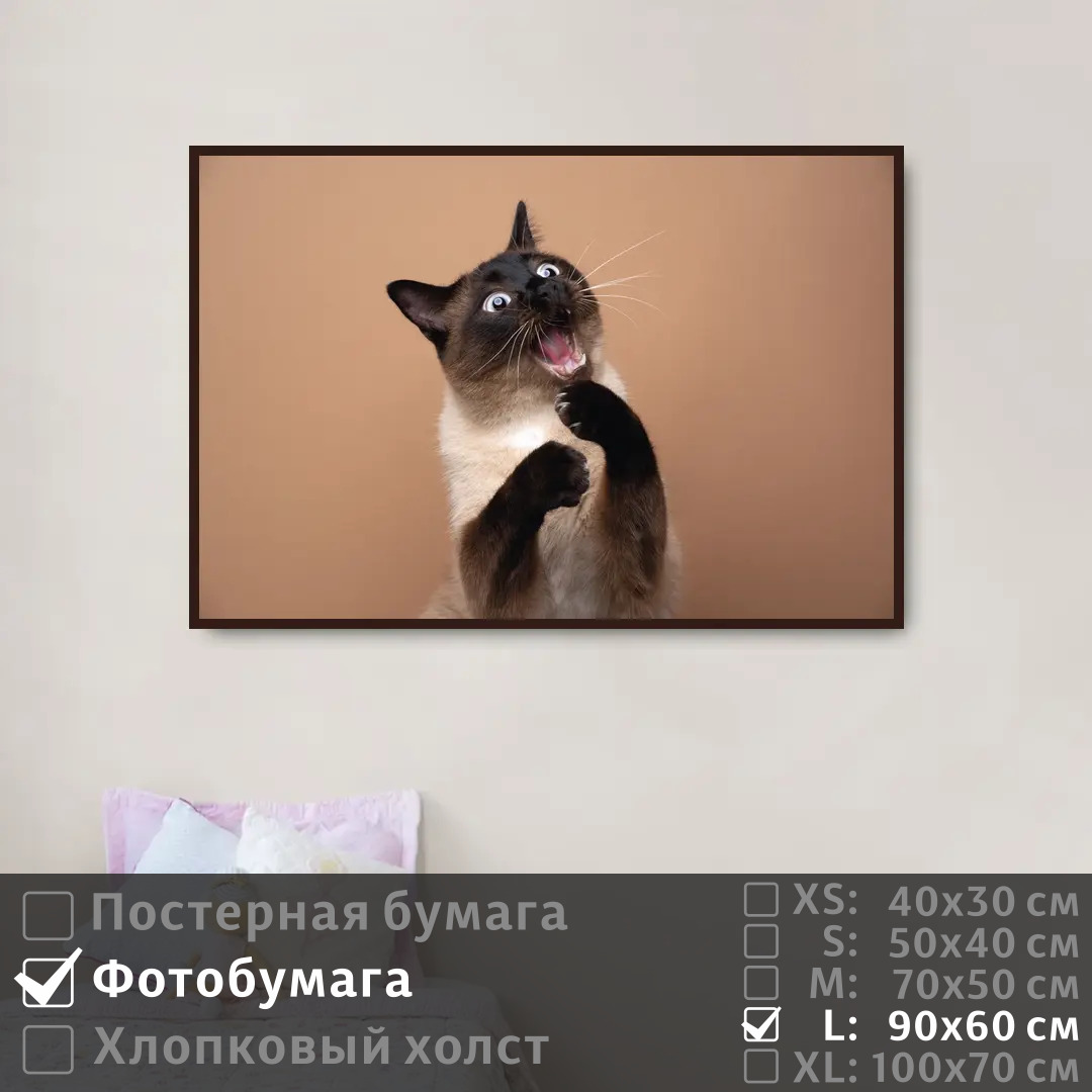 

Постер на фотобумаге ПолиЦентр Портрет забавной кошки 90х60 см, ПортретЗабавнойКошки