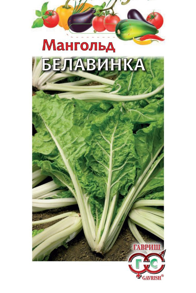 

Семена зелени и пряностей Гавриш Мангольд Белавинка 100 г
