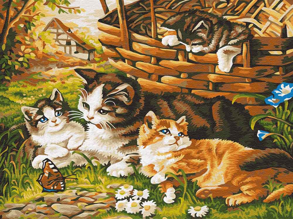 

Картина по номерам Цветной (Standart) Котята на прогулке, Котята на прогулке