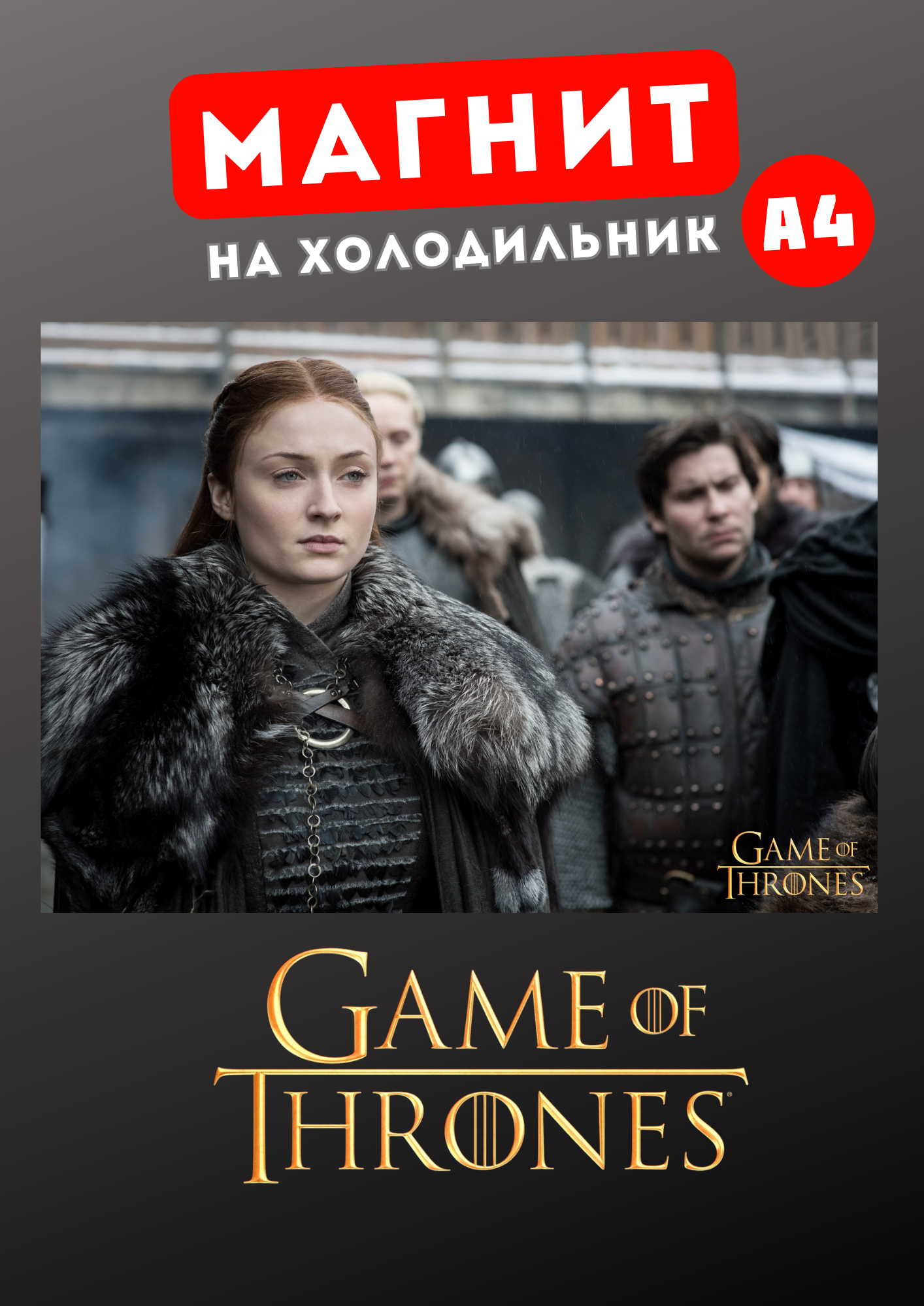 

Магнит на холодильник А4 Магнитная история Игра престолов ип8