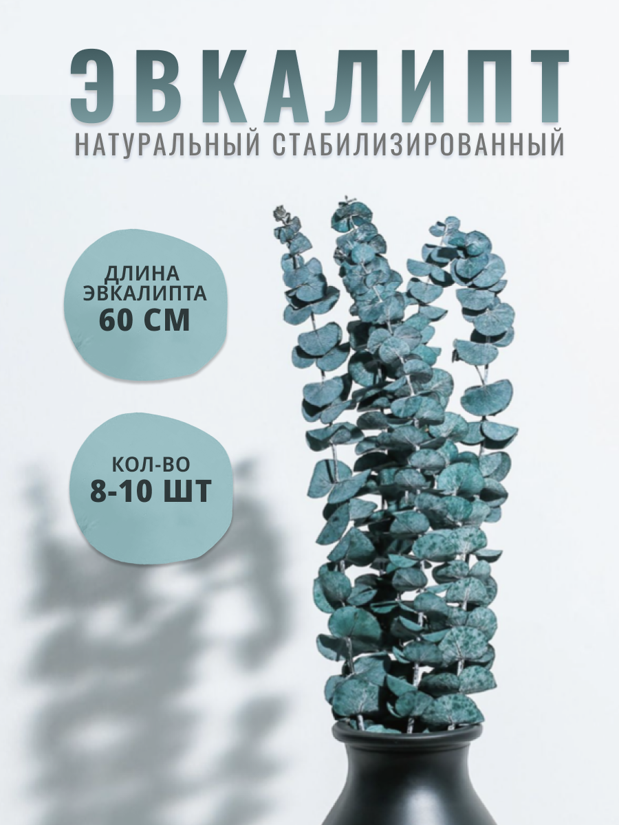 

Сухоцветы Shanly эвкалипт стабилизированный для декора, Голубой;синий