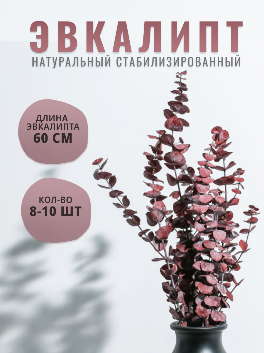 

Сухоцветы Shanly эвкалипт стабилизированный для декора, Красный