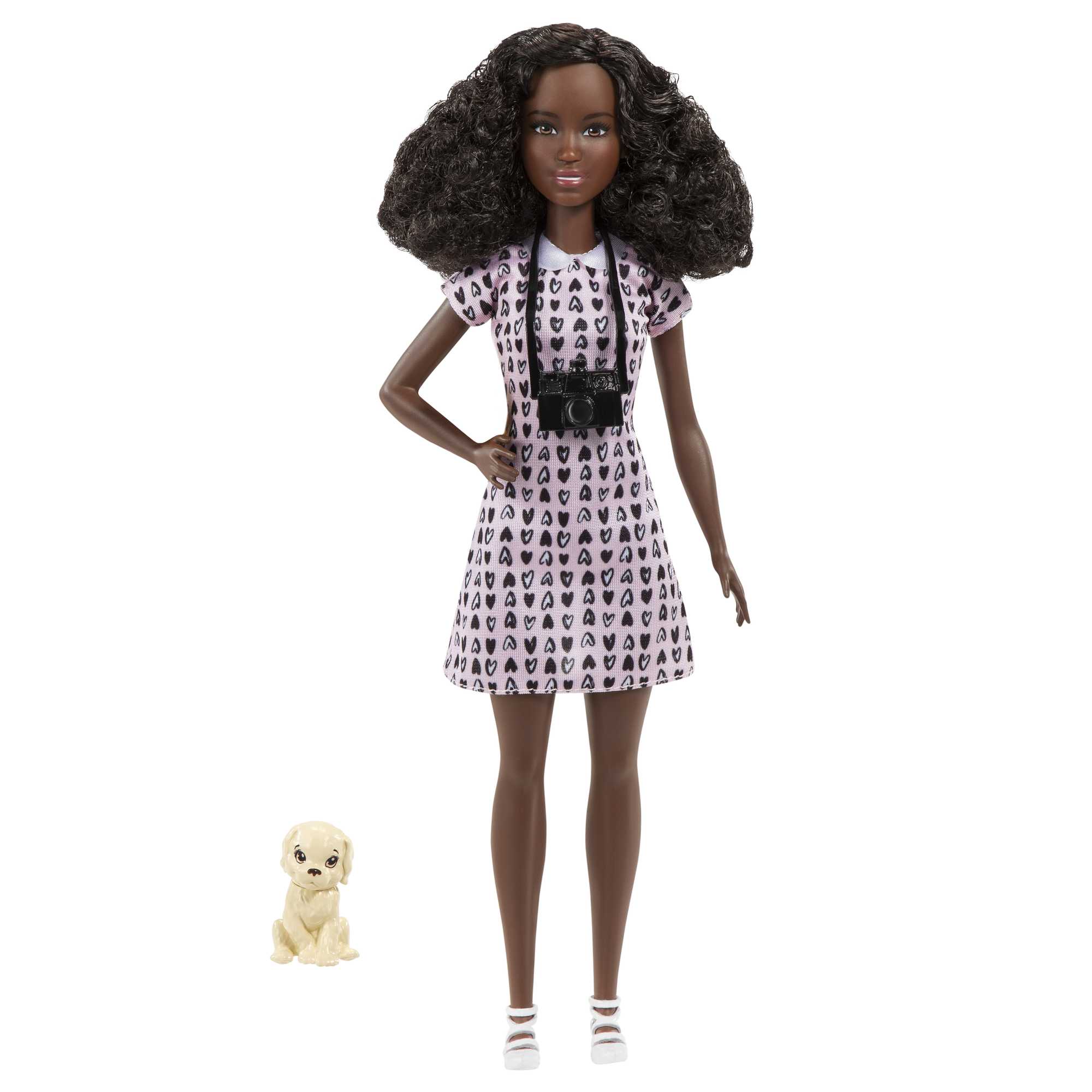 Кукла Barbie Кем быть? Фотограф для животных HCN10 кукла barbie кем быть gjm30