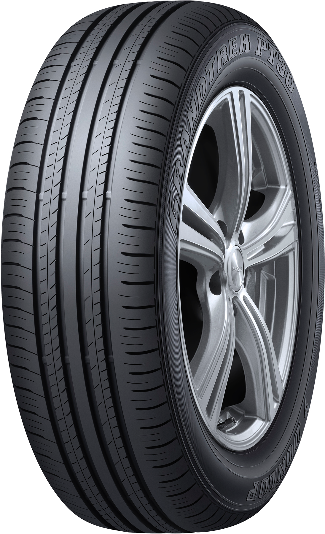 

Шины Dunlop Grandtrek PT30 225/65 R17 102H