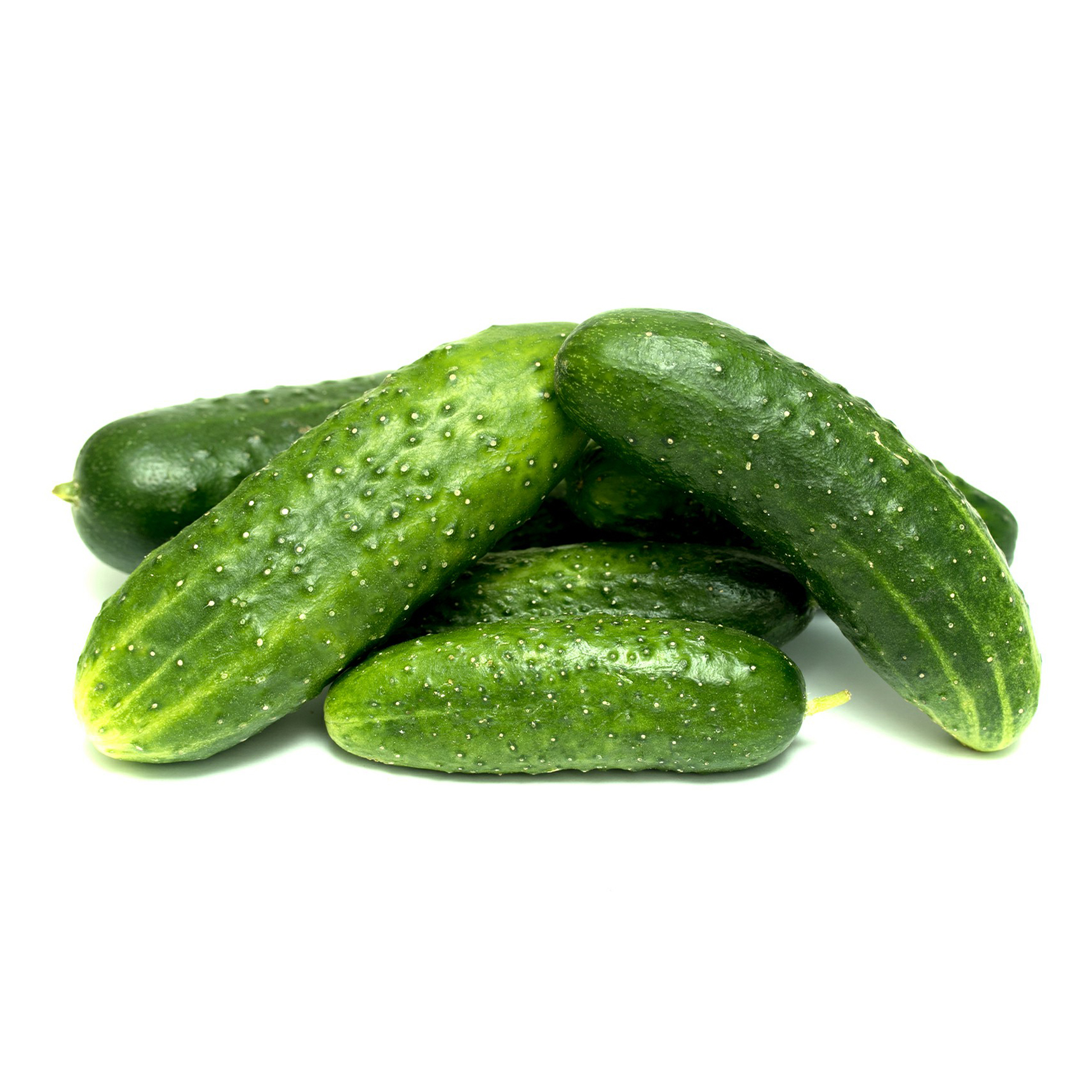 

Огурцы короткоплодные