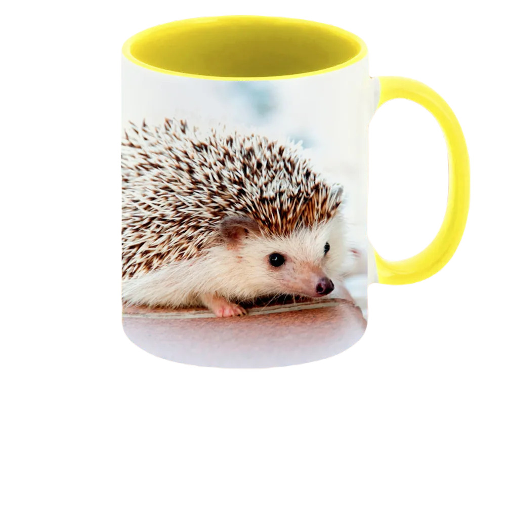 

Кружка CoolPodarok Ежик белый фон