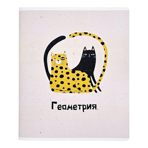 

Тетрадь предметная Be Smart Silly 48 листов геометрия А5 на скобе в клетку