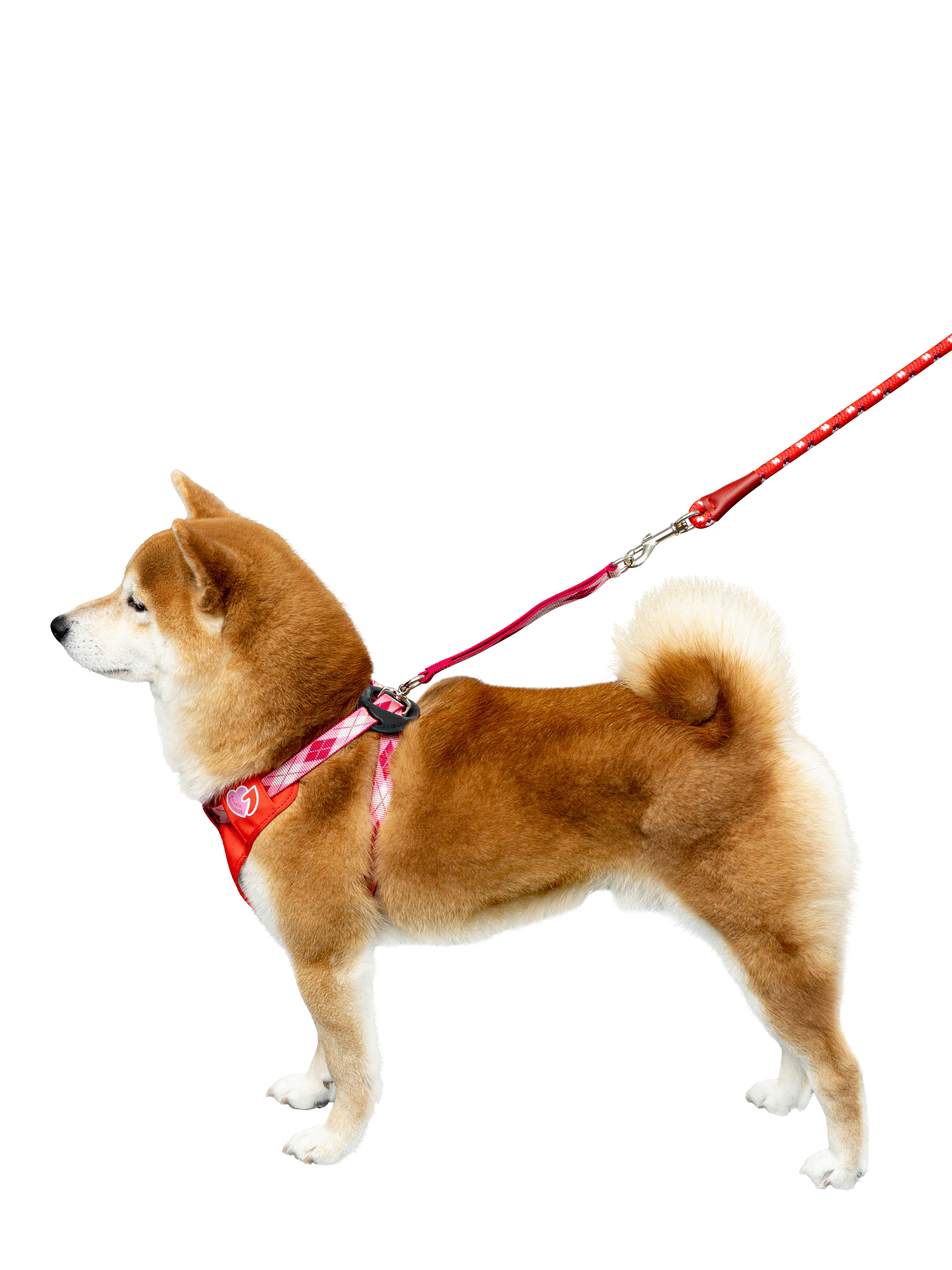 

Шлейка для собак Japan Premium Pet S, нейлон, полиэстер, пластик, сталь, красный, AND-SS/RD