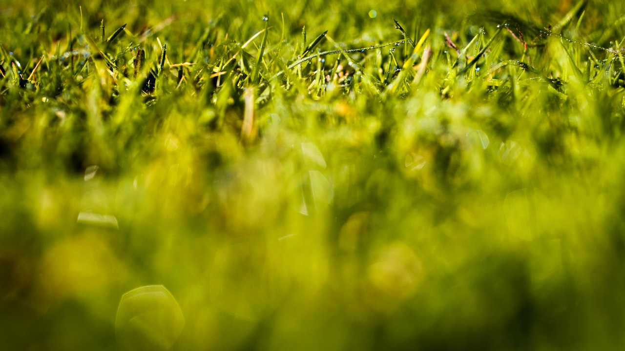 Grass desktop code