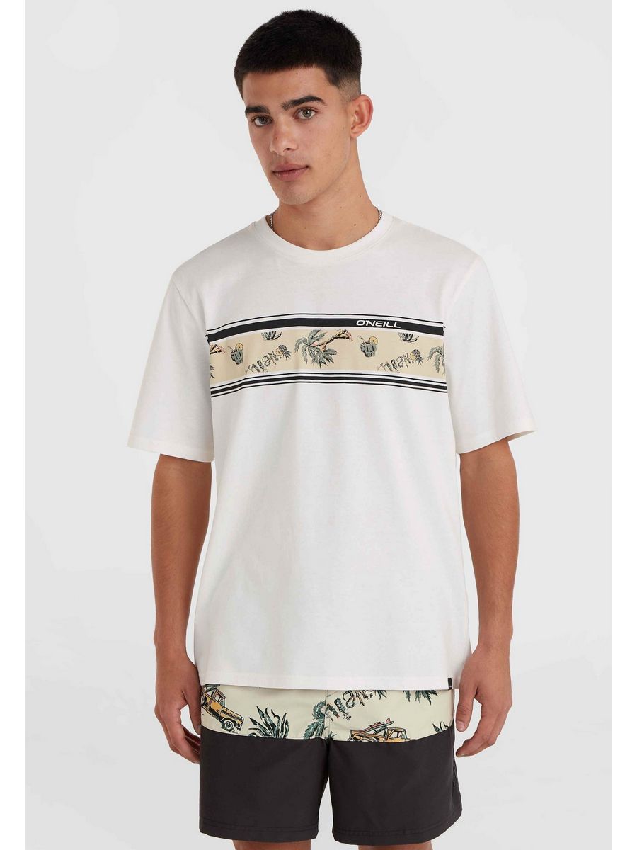 

Футболка мужская ONeill ON542D02R белая XS, Белый, ON542D02R