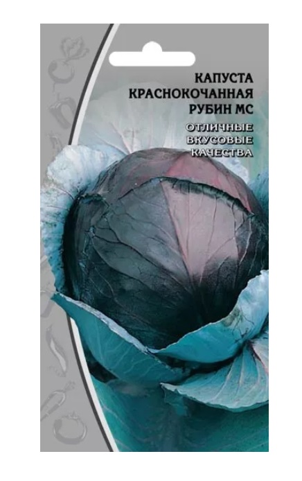 Краснокочанная Капуста Семена Купить
