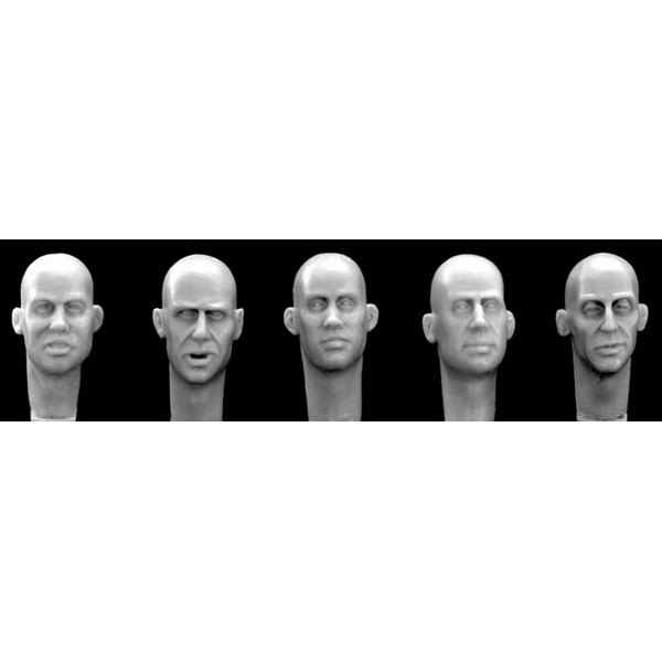 

HH06 5 different European bald heads