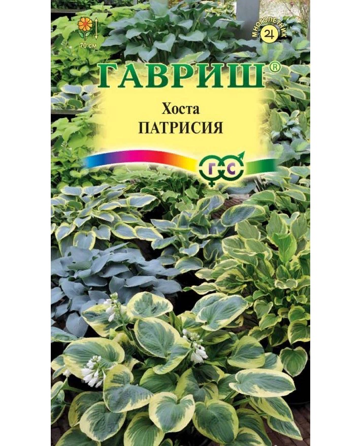 

Семена цветов хоста Патрисия Гавриш 0,2 г 1 шт.