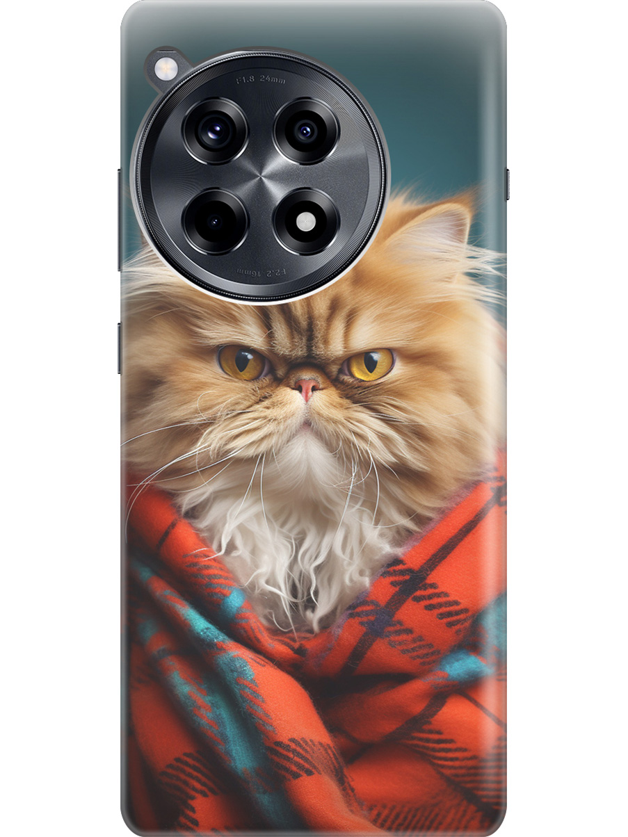 

Силиконовый чехол на OnePlus 12R с рисунком "Недовольный котик", Красный;синий, 20012110